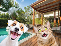 Family Time - Cat & Dog at the Spa (200pcs)