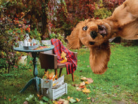 Family Time - Dog at Lunch (200pcs)