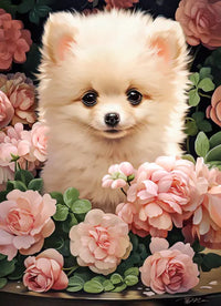 Pomeranian Puppy in Roses (300pcs)