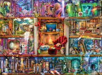 La Grande Bibliothèque de fiction, Aimee Stewart (1000pcs)