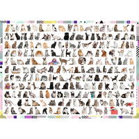 DMG 208 CATS (1000pcs) (boîte très endommagée)