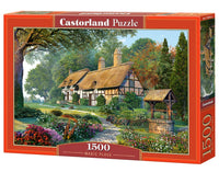 Magic Place (1500pcs)