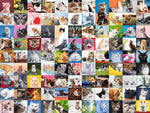 Ravensburger quatre-vingt-dix-neuf - Cats mignons (1000pcs)