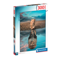 Self Reflection (300pcs)