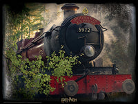 Harry Potter Poudlard Express (puzzle 3D) (500pcs)