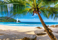 Holidays in Seychelles	 (500pcs)