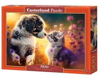 New Friendship (500pcs)
