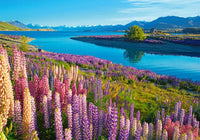 Lake Tekapo, New Zealand	 (500pcs)