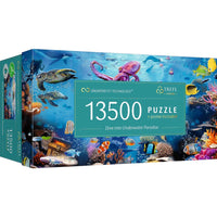 Dive into Underwater Paradise (13500pcs)