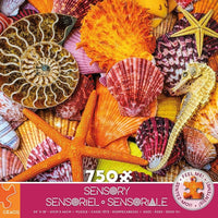 Starfish & Shells (750pcs) (Sensory)