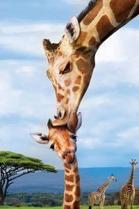 Giraffes - Save Our Planet Collection (250pcs)