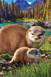 Otters - Save Our Planet Collection (250pcs)