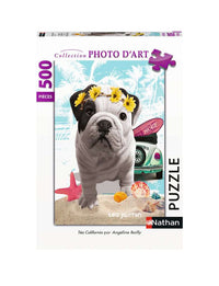 PFG Téo California (500pcs) (Usage/Used - PUZZLES FOR GOOD)