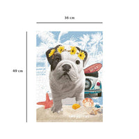 PFG Téo California (500pcs) (Usage/Used - PUZZLES FOR GOOD)