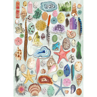 The Art File - Natural Curiosities (1000pcs)