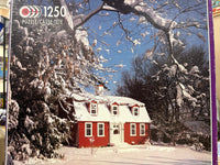 PFG South Dudbury, Mass (1250pcs) (Usage/Used - PUZZLES FOR GOOD)