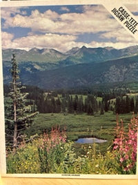 PFG Silverton, Colorado (600pcs) (utilisation / utilisée - puzzles pour de bon)
