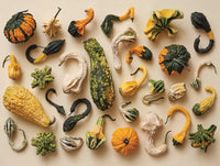 Gourd Collection, Jim Golden (1000pcs)