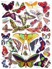 Collection vintage - papillons / papillons (1000pcs)