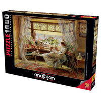 Reading by the Window (1000pcs)