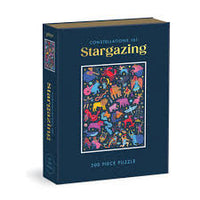 Constellations 101: Stargazing Book (500pcs)