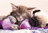 Dream Companions, Liliya Kulianionak (500 pcs)