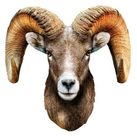 Bighorn moutons de montagne rocheux - en forme (100pcs)