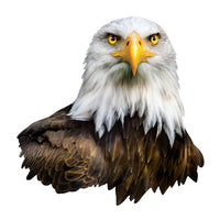 Eagle - Shaped (100pcs)