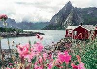 Ravensburger Scandinavian Places - Lofoten, Norvège (1000pcs)
