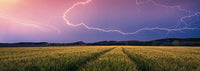 Édition Nature de Ravensburger - Orage d'été (500pcs) (panoramique)