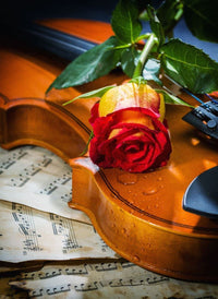 Musique, amour et tristesse (1000pcs)