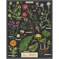 Vintage - Herbarium (1000pcs)