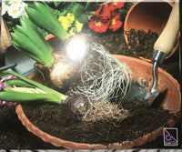 PFG Puzzler's Collection - Garden Glory (Usage/Used - PUZZLES FOR GOOD)