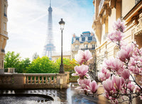 Ravensburger printemps à Paris (500pcs)