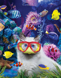 Break de 10 minutes-kitten dans un aquarium, Karen Burke (100pcs)