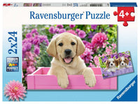 Ravensburger moi et mon copain
