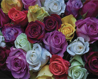 PFG Palette of Roses (Usagé/Used - PUZZLES FOR GOOD)