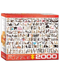 Le monde des chats (2000pcs)
