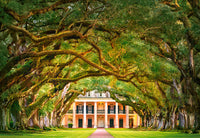 Oak Alley Plantation, Martin Podt