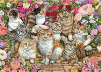 Chats floraux, Debbie Cook (1000pcs)