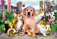 Ravensburger Vraiment de bons amis