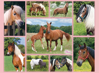 Ravensburger Horse Heaven