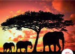 Ravensburger se promène au crépuscule / silhouette africaine