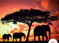 Ravensburger se promène au crépuscule / silhouette africaine