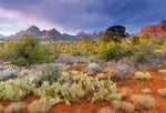 Rouge Rusk Dust, Arizona (Coucher de Soleil, Arizona)