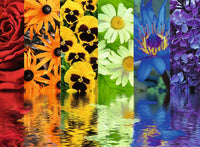 Réflexions florales de Ravensburger (500pcs)