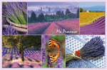 Ravensburger Provence