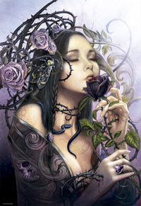 The Midnight Rose - DMGB