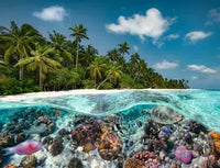Ravensburger une plongée dans les Maldives (2000pcs)
