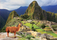 Machu Picchu, Peru